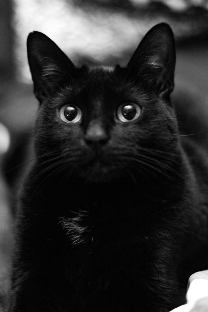 Photograph by Anna Fors