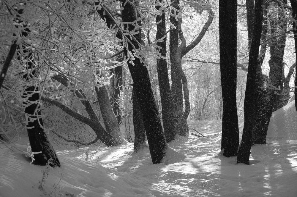 Photograph by Ионова Татьяна