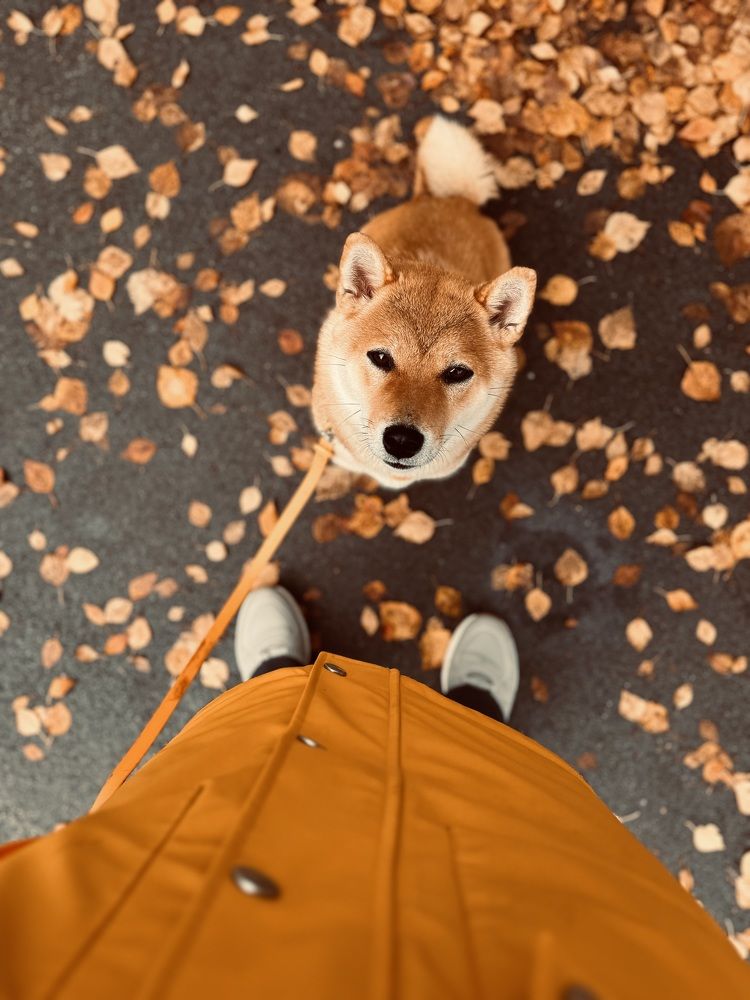 Photograph by Ксения Юртаева