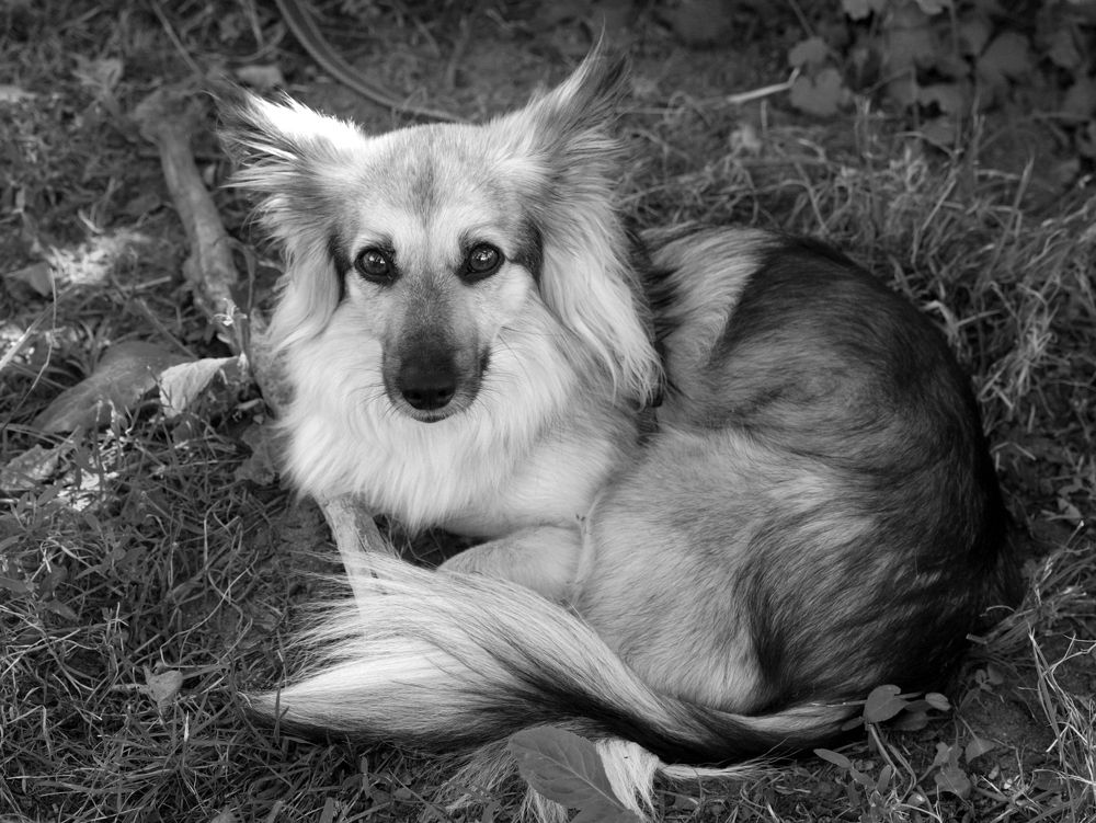 Photograph by Ионова Татьяна