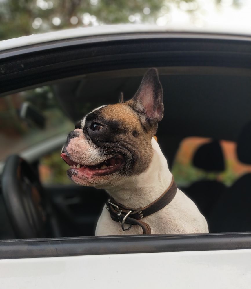 Photograph by Ольга Мартьянова