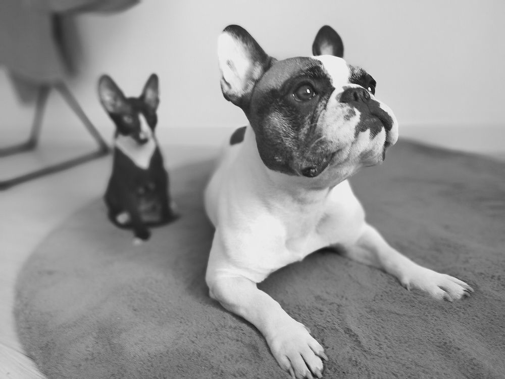 Photograph by Ольга Мартьянова