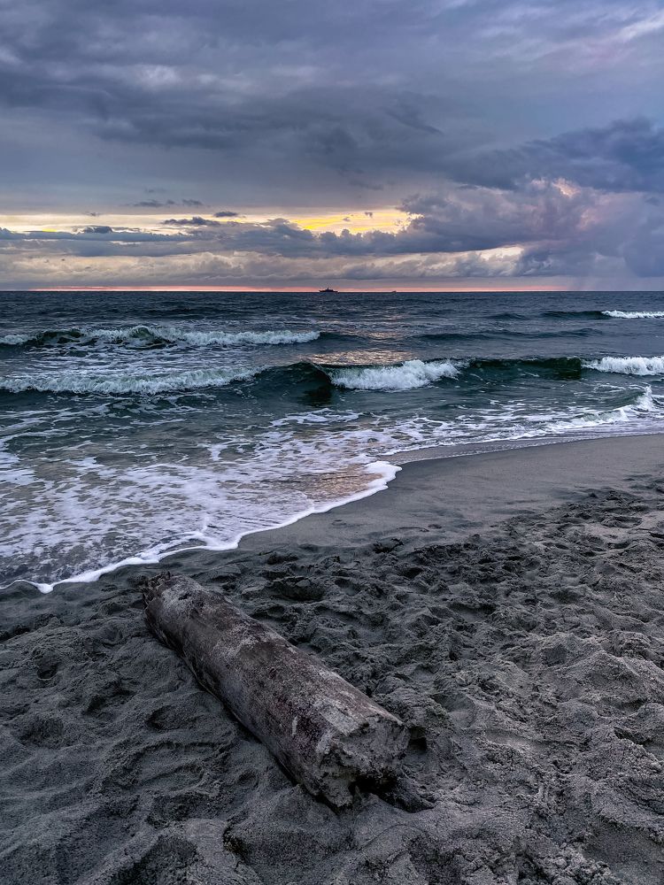 Photograph by Anna Fors