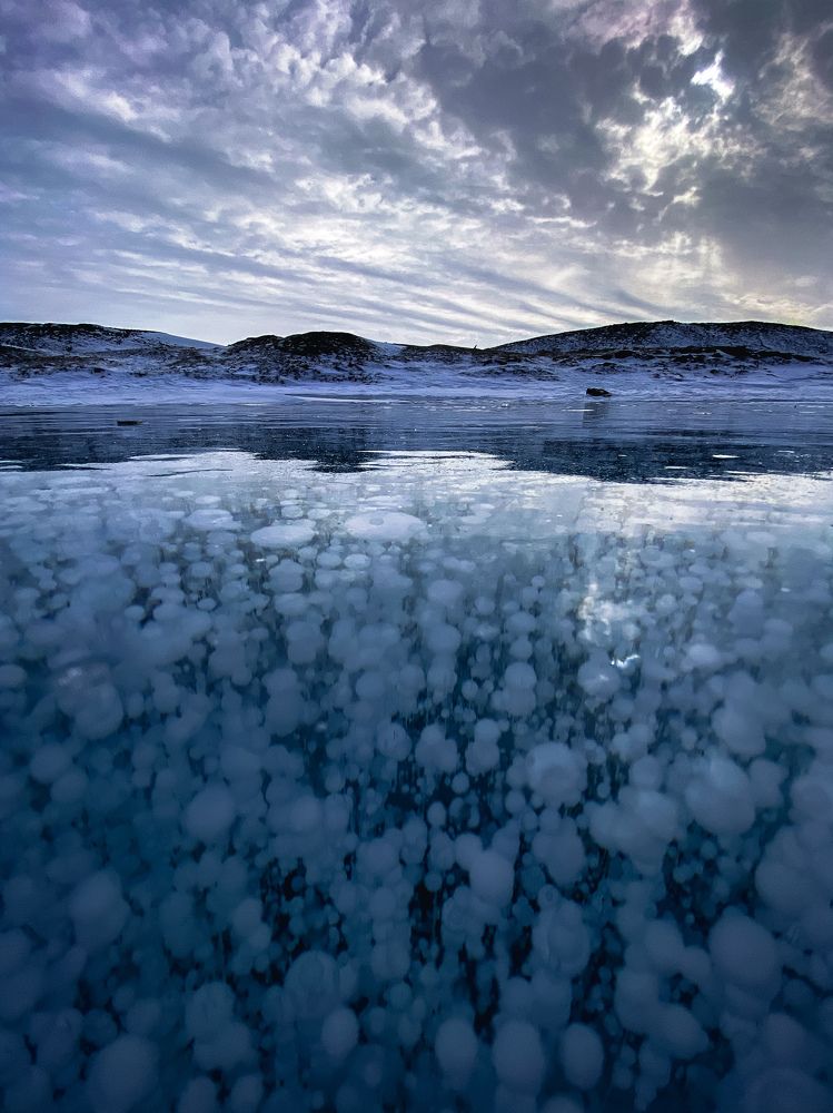 Photograph by Anna Fors