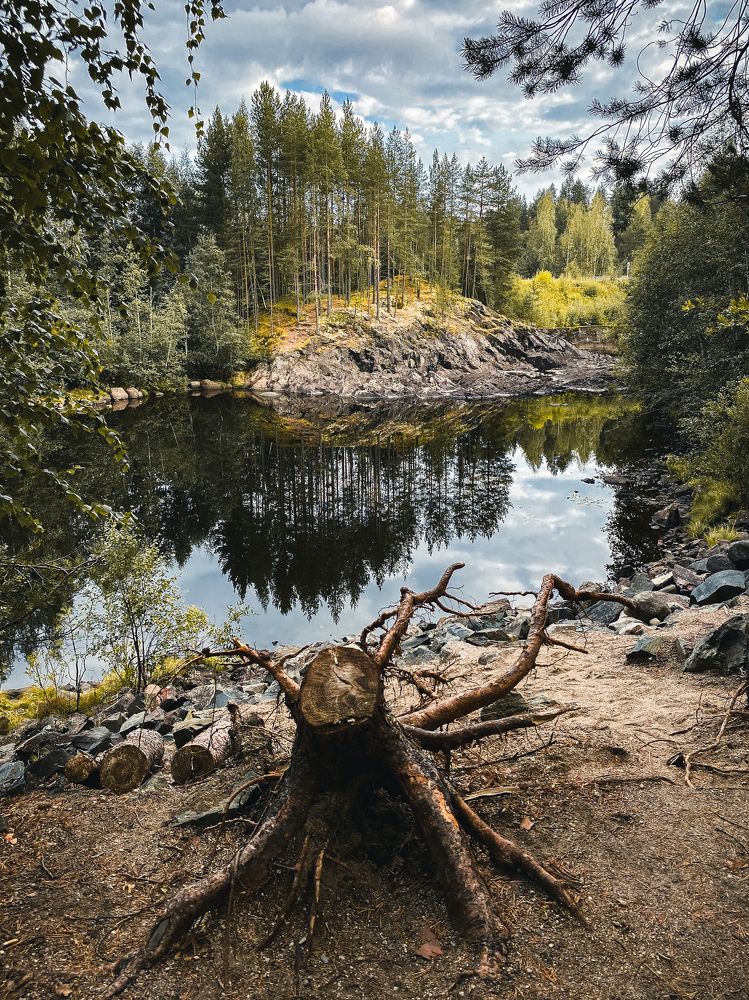 Photograph by Anna Fors