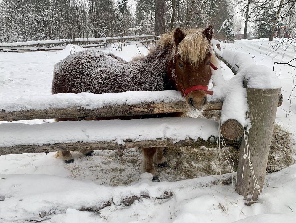 Photograph by Ионова Татьяна