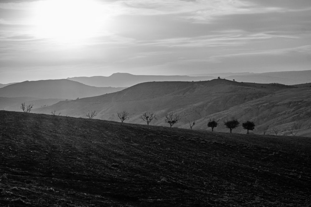 Фотография автора Ilyes Benaissa