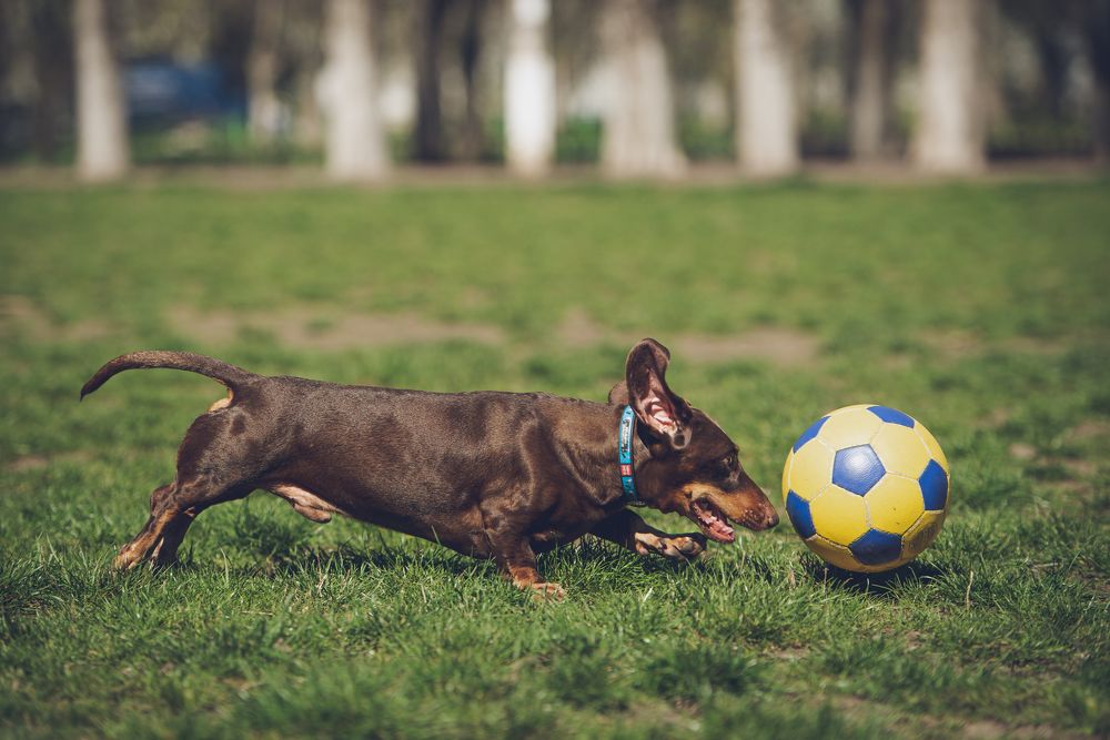 Фотография автора Ольга Тенилова
