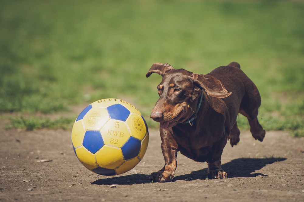 Фотография автора Ольга Тенилова
