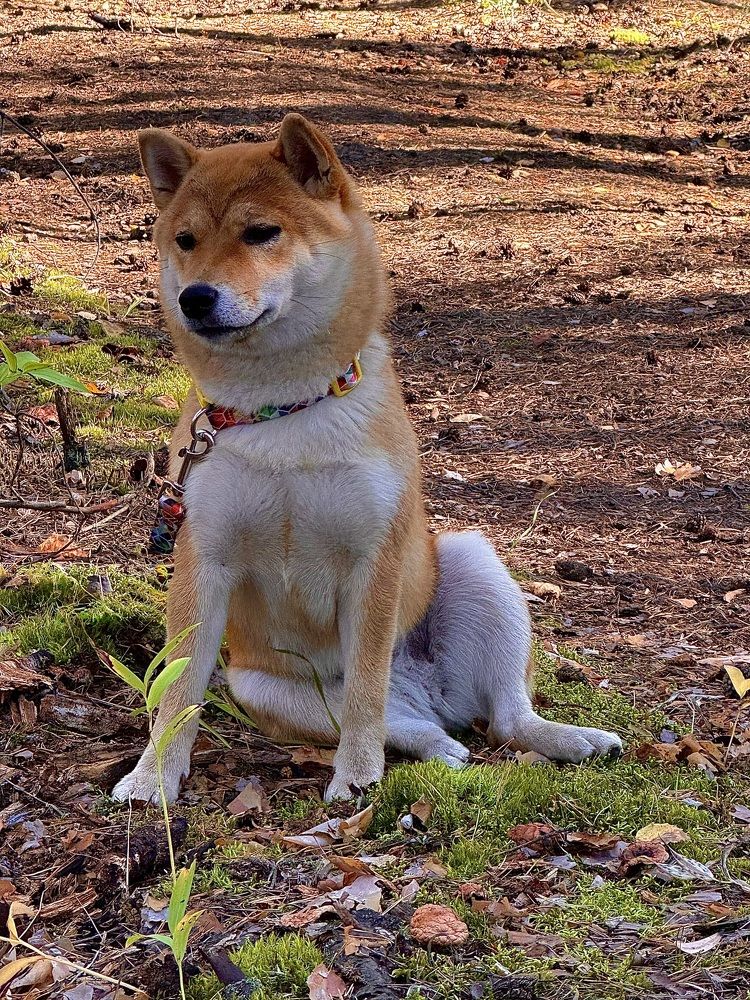 Photograph by Ксения Юртаева