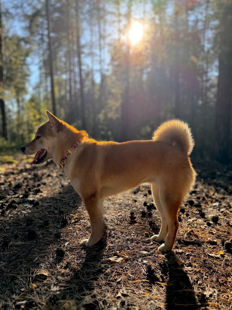 Photograph by Ксения Юртаева