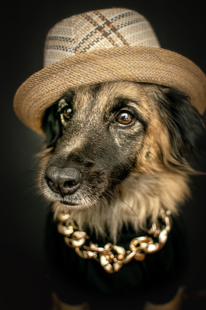 Photograph by Альфия Агзами