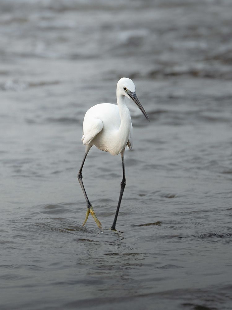 Photograph by Katherine Erlich