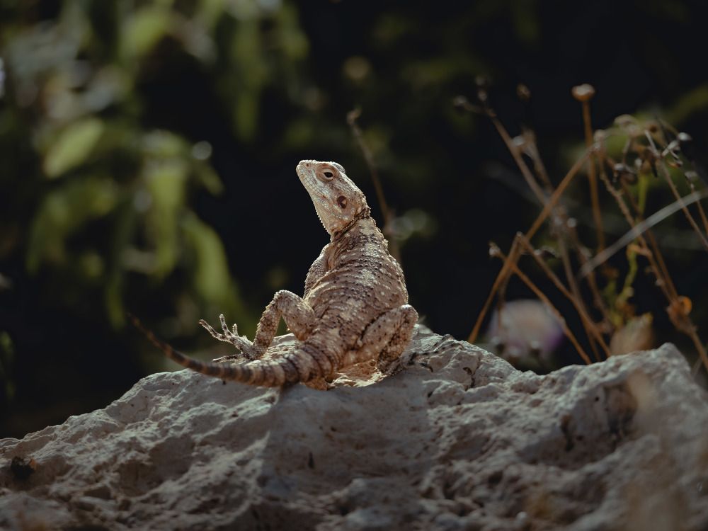 Photograph by Katherine Erlich