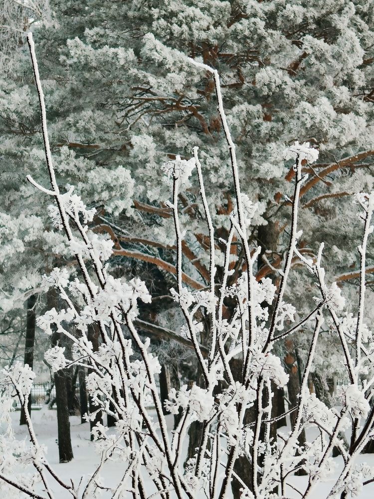 Photograph by Екатерина Груздева