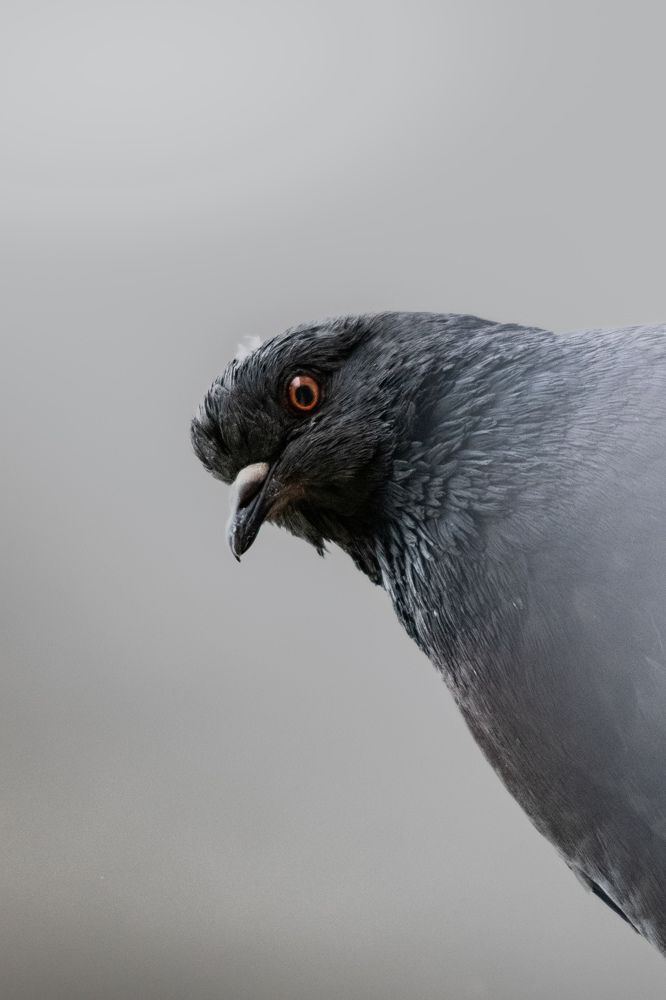 Photograph by Милан Ђорђевић