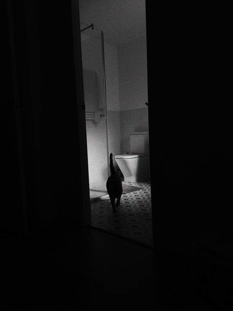 Photograph by Алёна Яцкевич