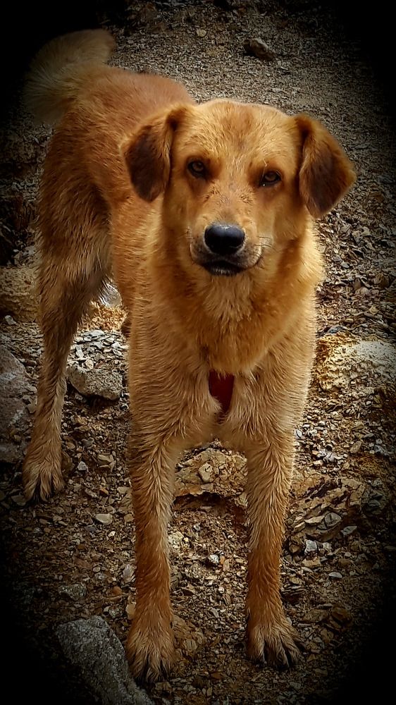 Фотография автора Adriana Rocha