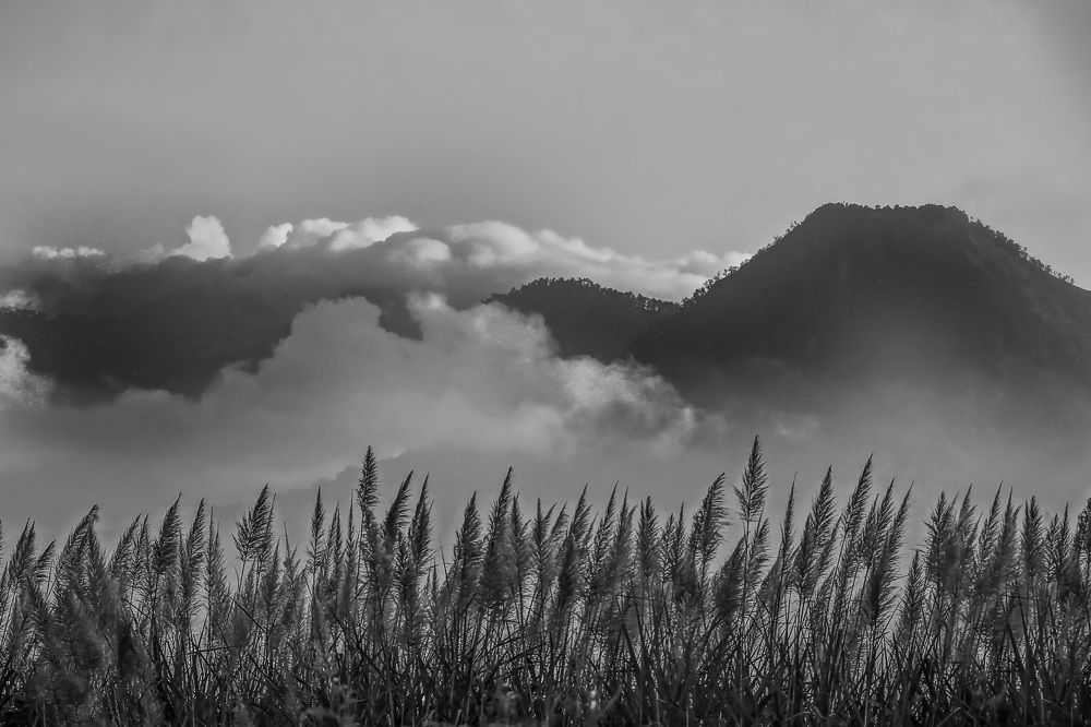 Фотография автора Moto Ambar