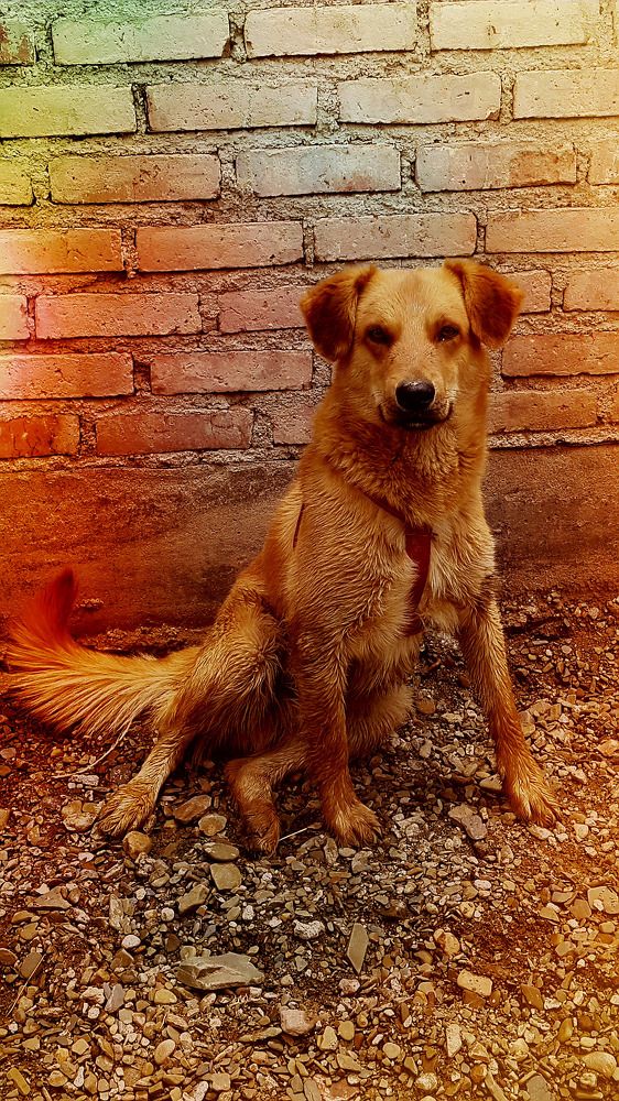 Фотография автора Adriana Rocha