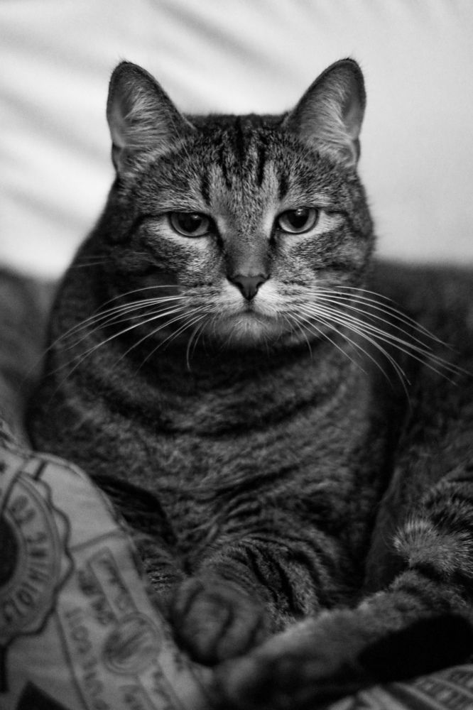 Photograph by Anna Fors