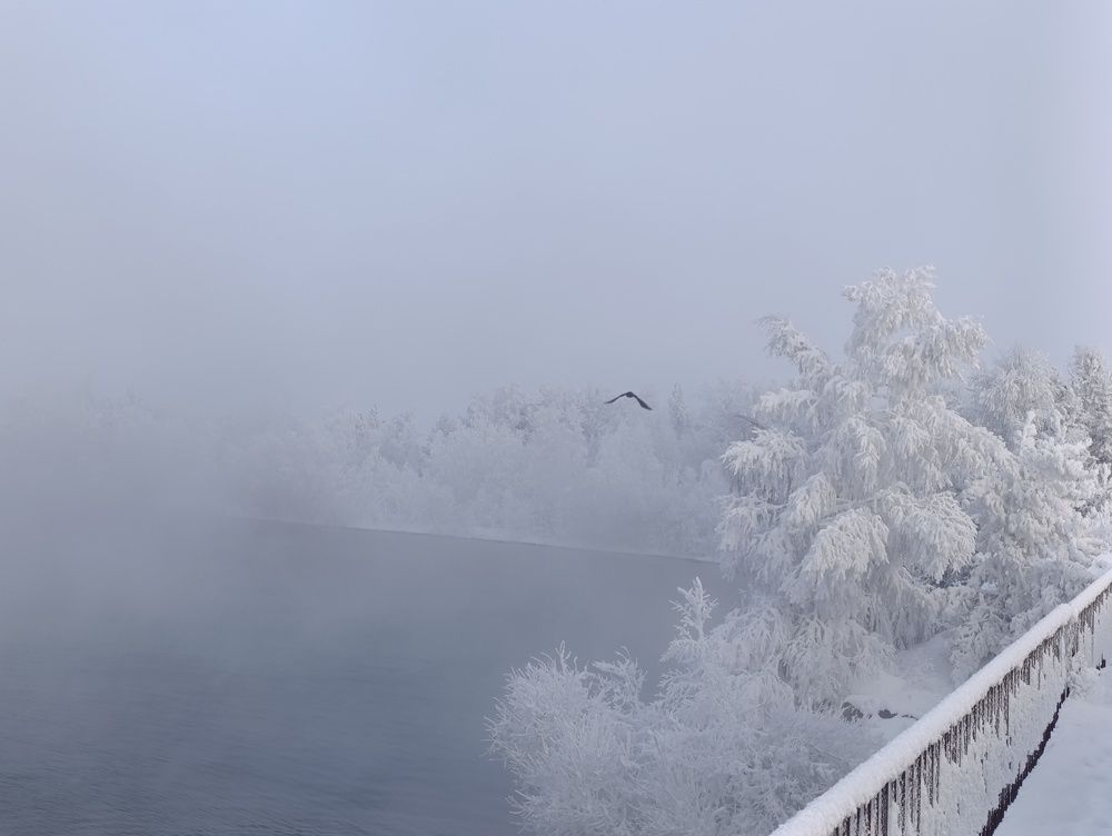 Photograph by Елена Шишкина