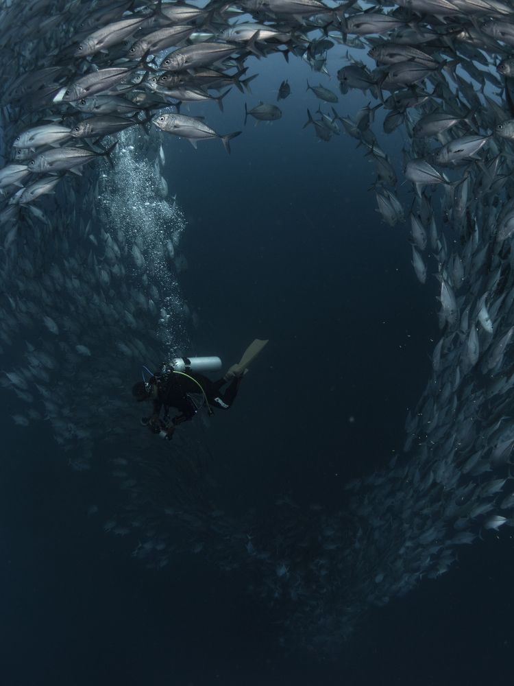 Photograph by Asahina Akira