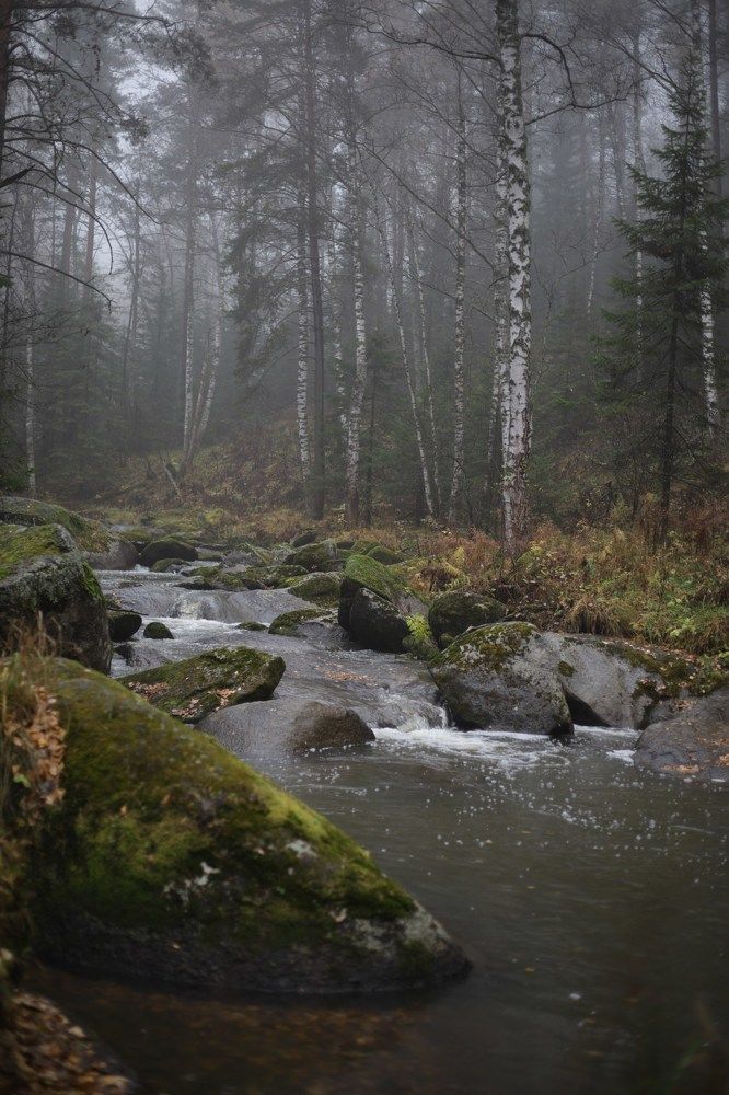 Photograph by Елена Шишкина