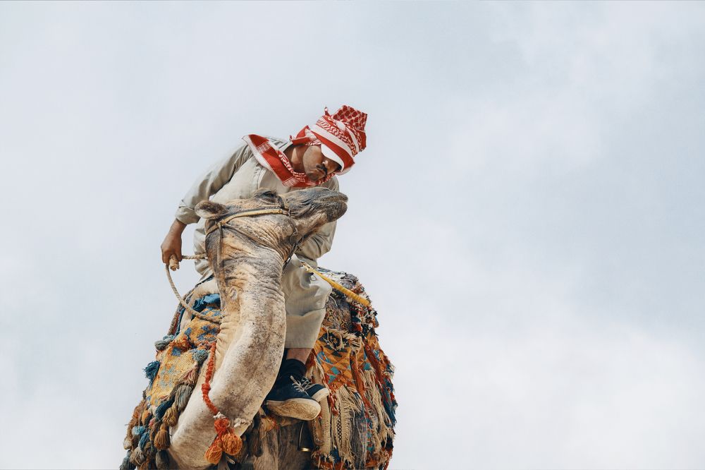 Photograph by Mahmoudaphotography