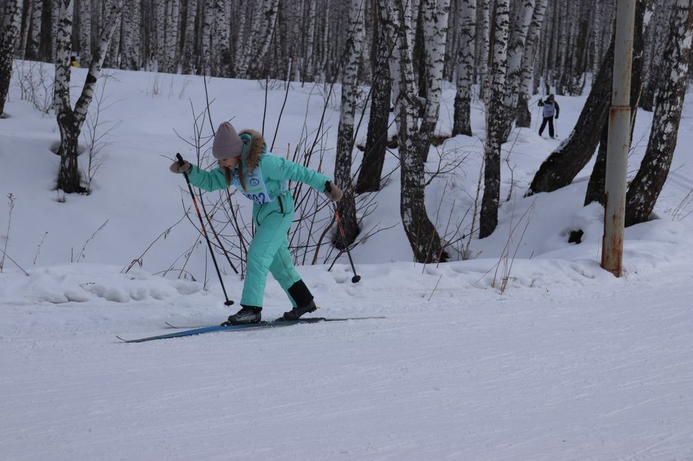 Фотография автора Александр Николаев