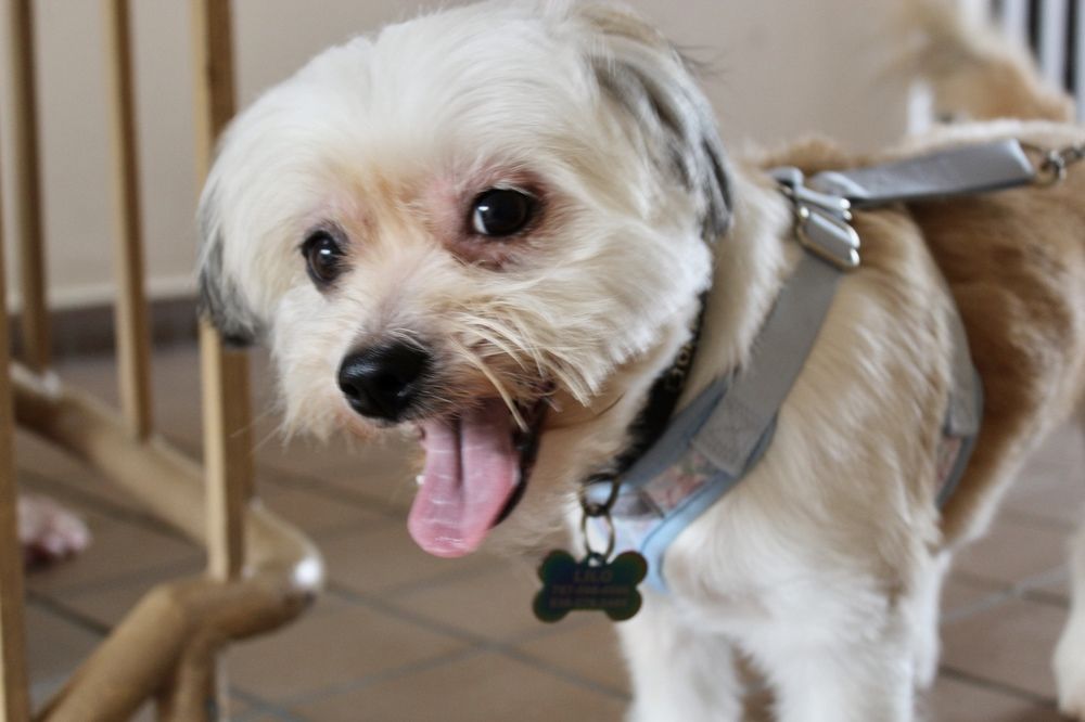 Фотография автора Jose Otero