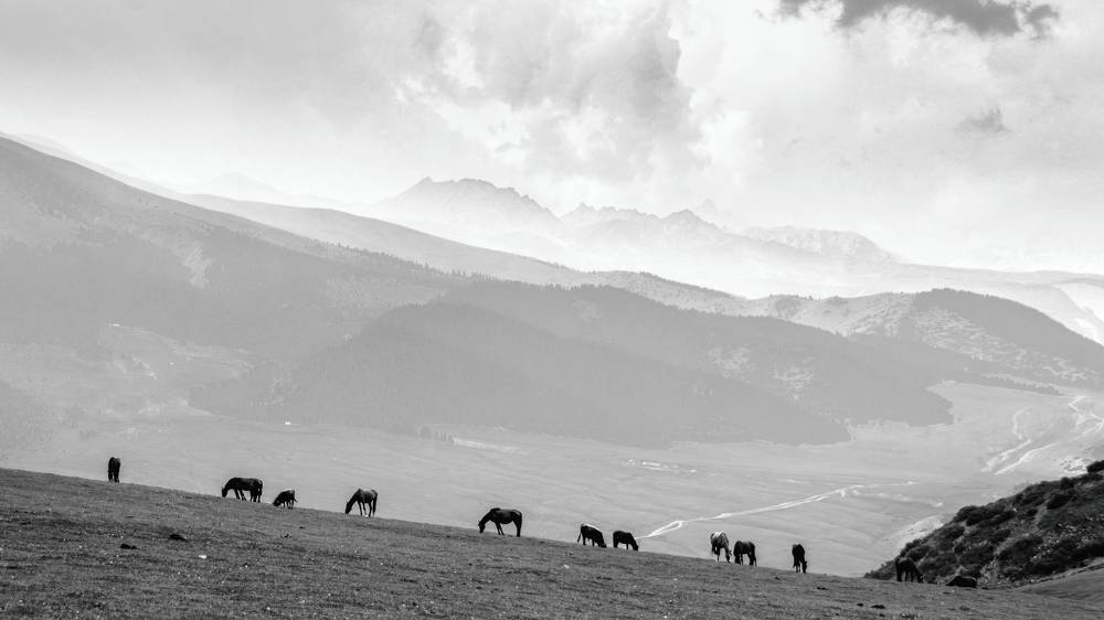 Photograph by Кирилл Савенко