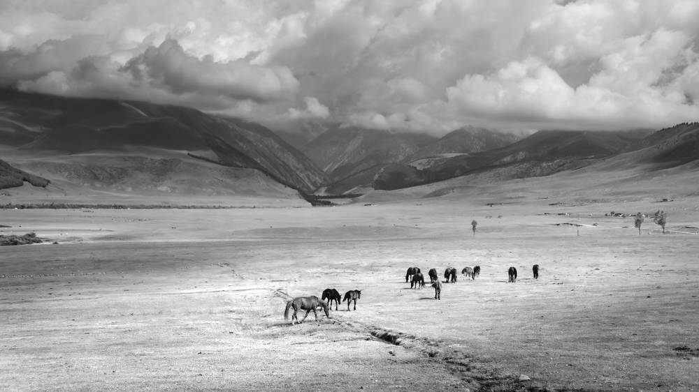 Photograph by Кирилл Савенко