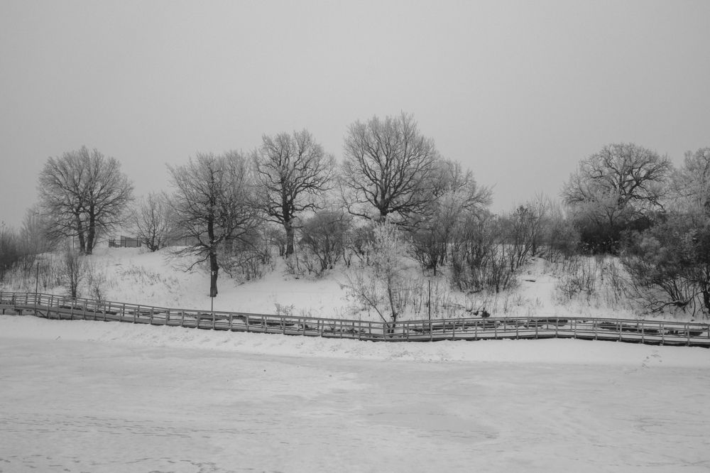 Photograph by Алла Никушкина