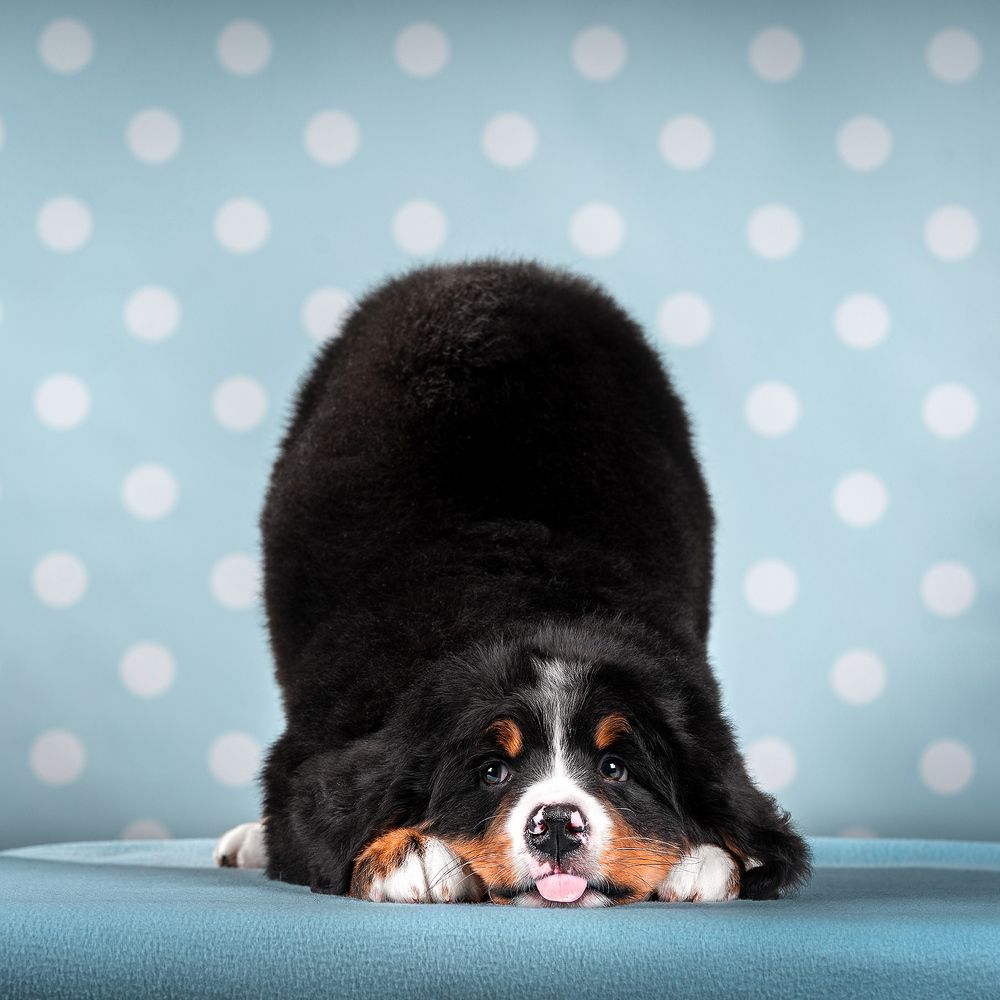 Фотография автора Оксана Серова