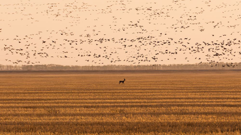 Photograph by Кирилл Савенко