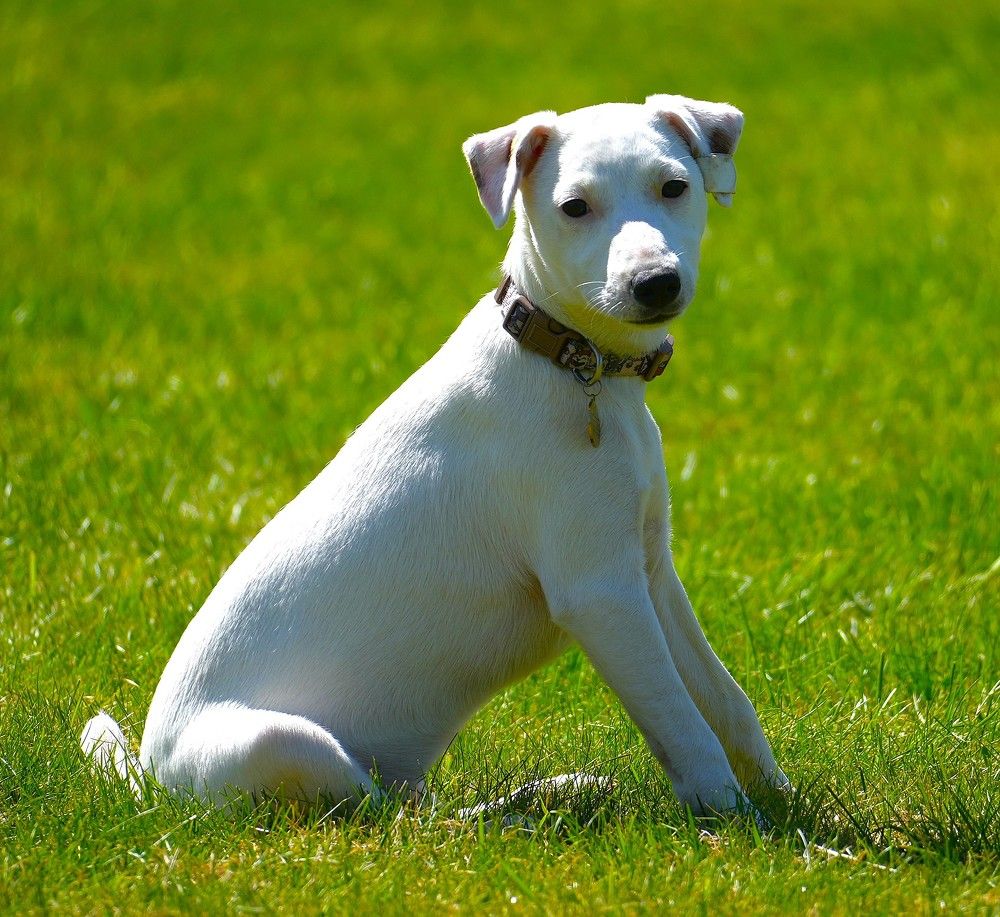 Photograph by Михаил Трусов