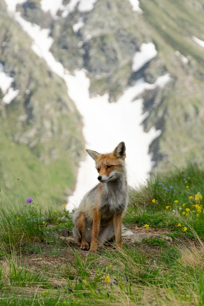 Photograph by Alexey Tarasov