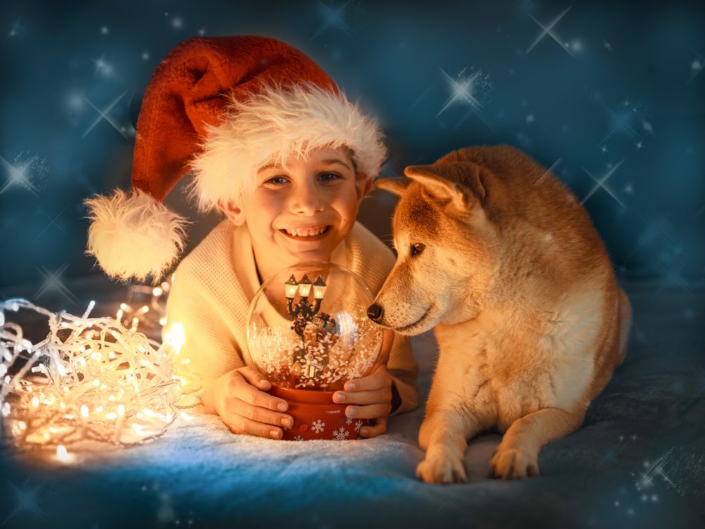 Фотография автора Aleksandra Choporova