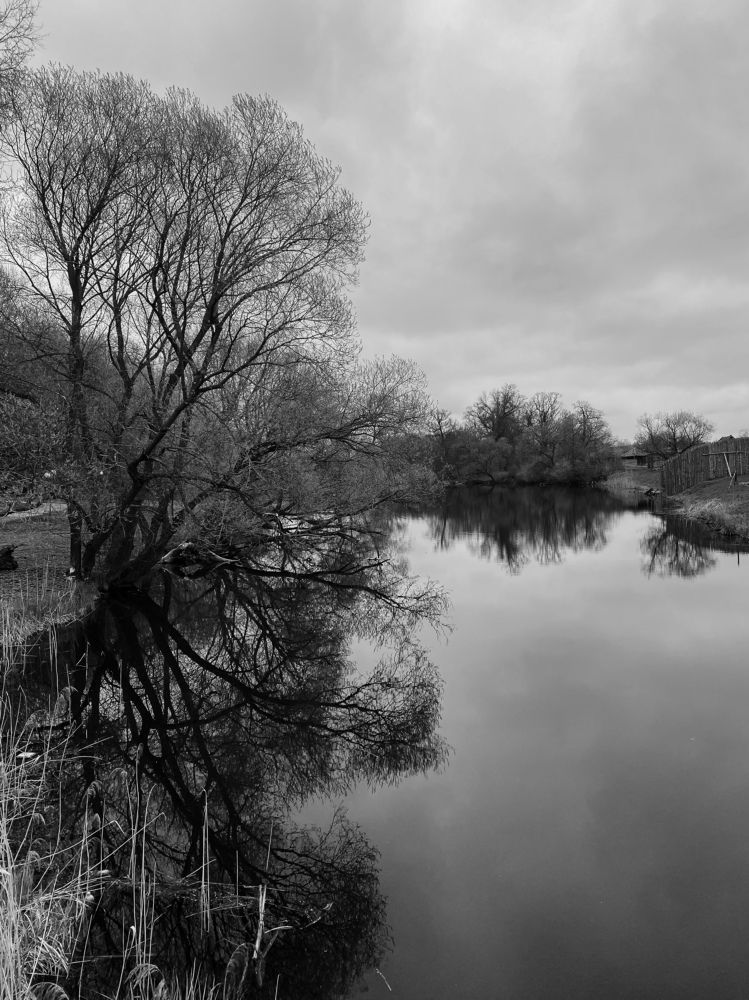 Фотография автора Лариса Гришкевич