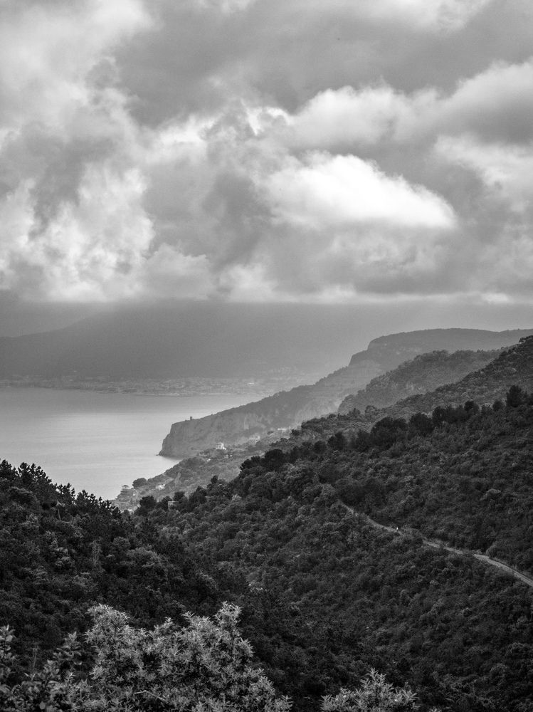 Photograph by Irina Tischer