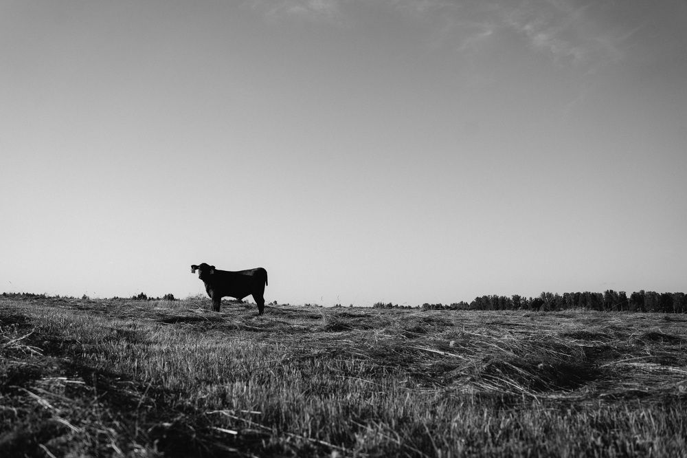 Photograph by Елена Подшевалова