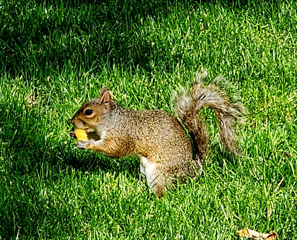 Photograph by G GOVIL