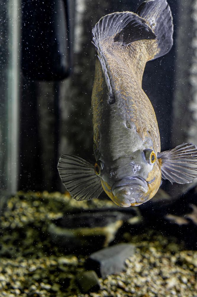 Photograph by Sergey Kalinin