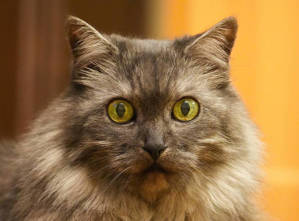 Photograph by Михаил Трусов