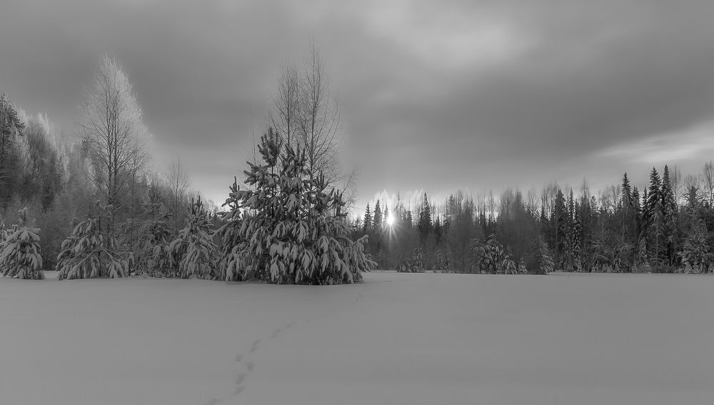 Photograph by Елена Хорохорина