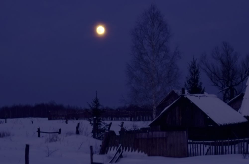 Полнолуние в глуши