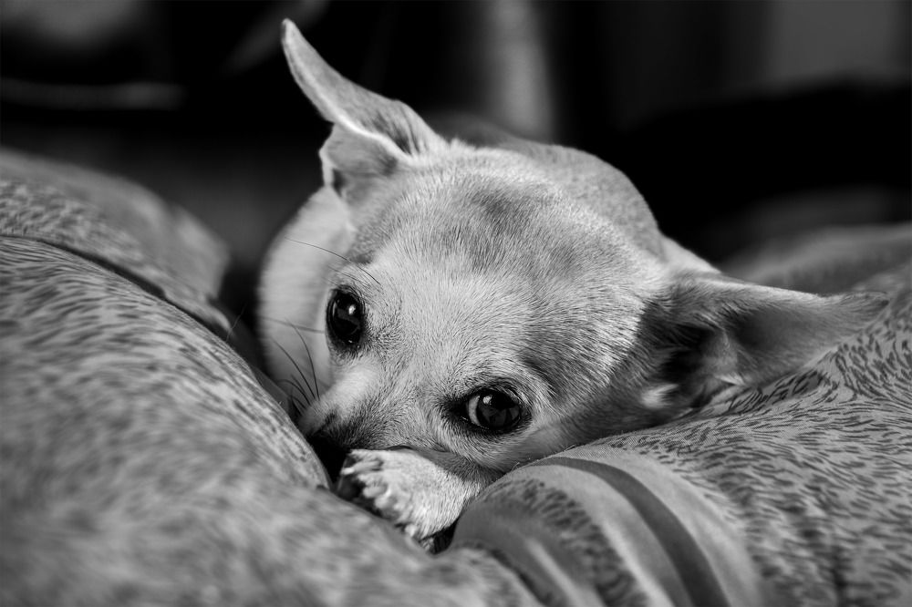 Photograph by Sergey Kalinin