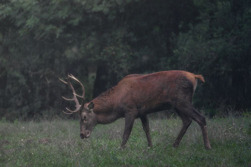 Photograph by Domenico Marrano