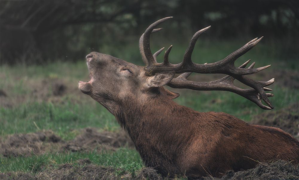 Photograph by Domenico Marrano